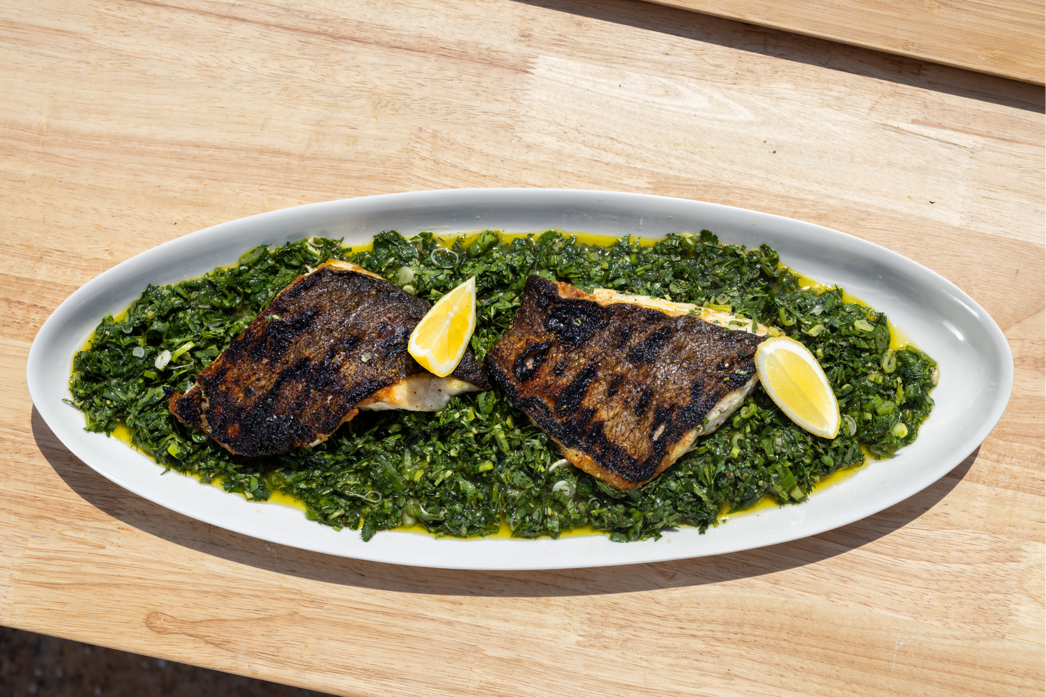 Murray Cod